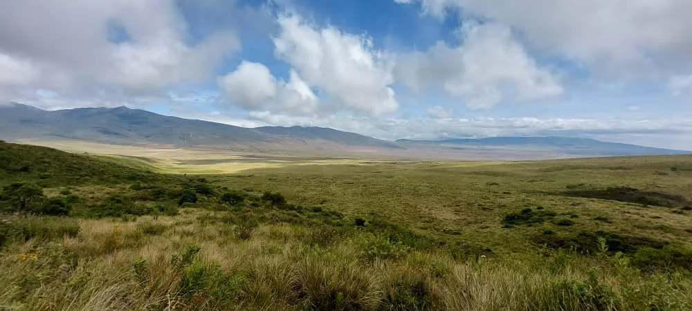Open Ngorongoro Highlands landscape